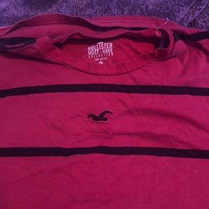 Hollister t Shirt